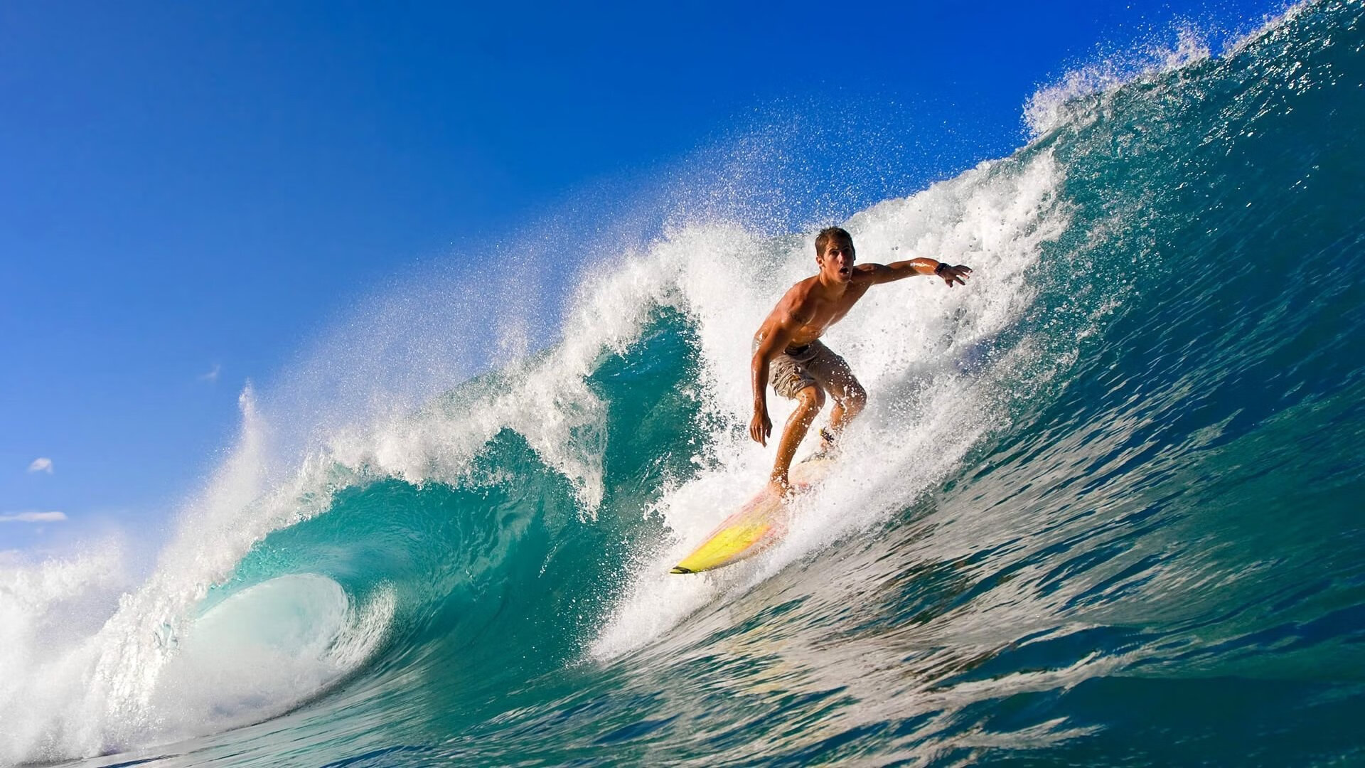 公牛引发争议！，穆古鲁扎官方宣布反败为胜新规上演精彩一战(鲁悼公为什么叫悼公)